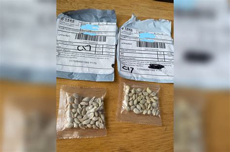 what are those mystery seeds from china